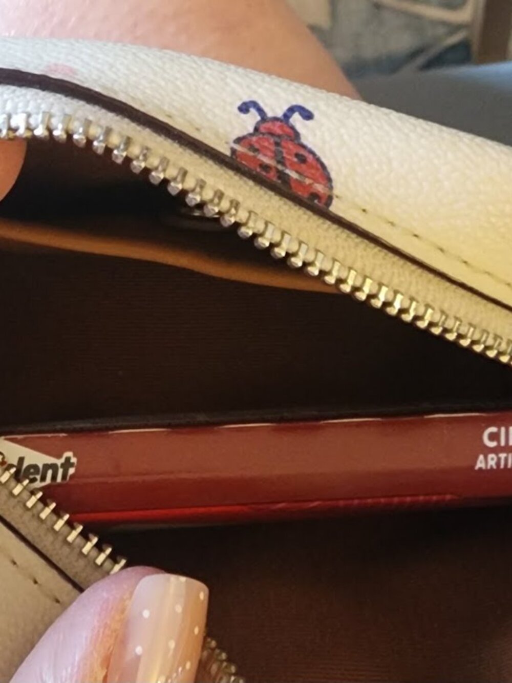Coach Ladybug Mini Boxy Case - Picture 6 of 8